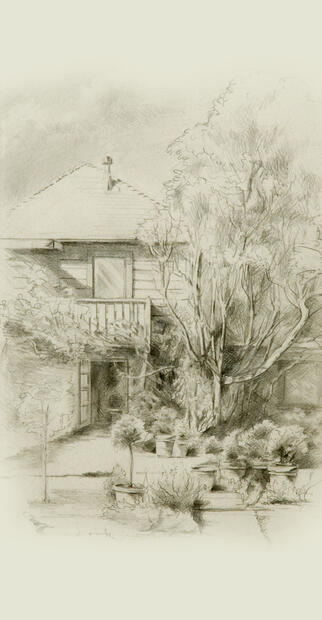The French Laundry Courtyard Drawing