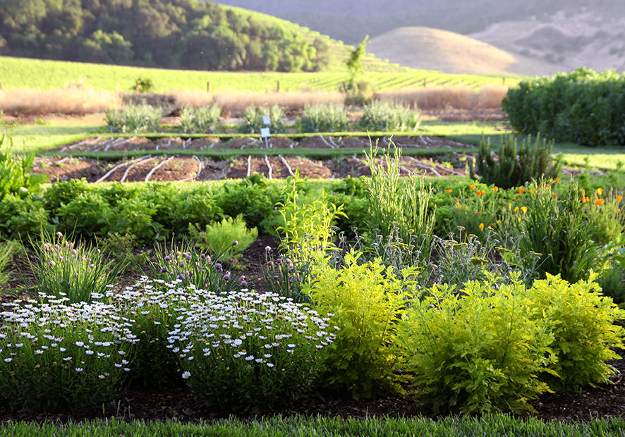 Image of a Garden