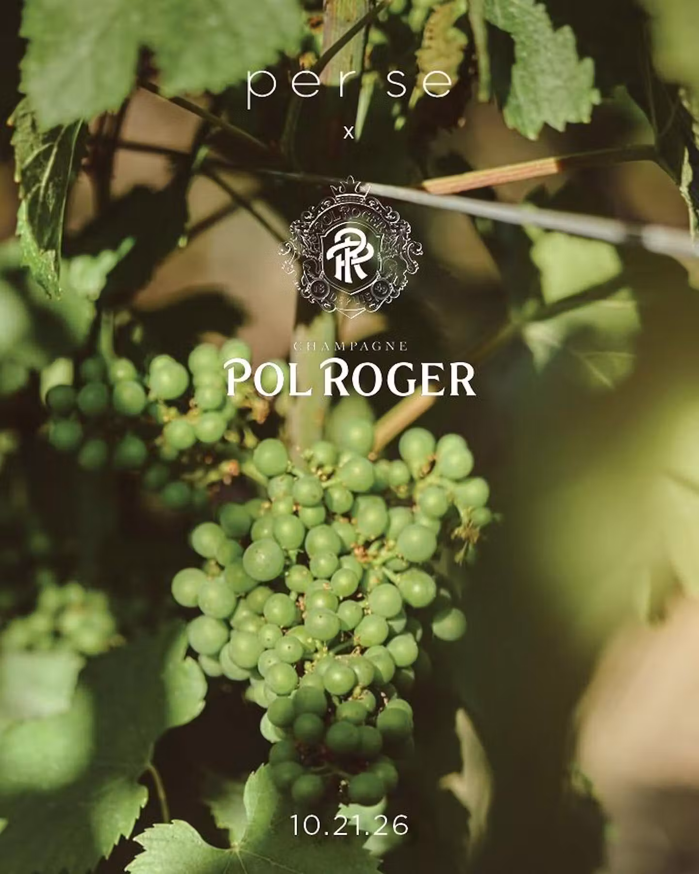An Evening with Pol Roger